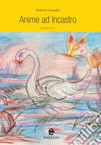 Anime ad incastro. Nuova ediz. libro