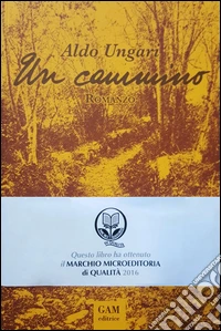 Un cammino libro