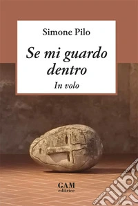 Se mi guardo dentro. In volo