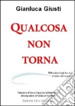 Qualcosa non torna. Riflessioni logiche sui misteri del mondo