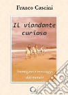 Il viandante curioso. Immagini e messaggi dal mondo libro