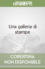 Una galleria di stampe libro