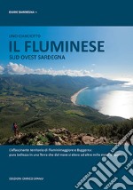 Il Fluminese. Sud ovest Sardegna libro