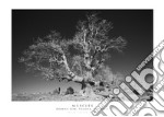 Muscles. Downy Oak, Talana, Sardinia. Ediz. italiana e inglese. Con stampa Fine Art libro