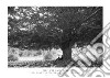 The Pillar-Yew. Yew, Campu Sa Carcara, Urzulei, Sardinia. Ediz. italiana e inglese. Con stampa Fine Art libro