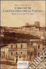 Comune di Castiglione della Pescaia: briciole di storia libro