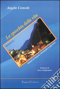Lo specchio della vita