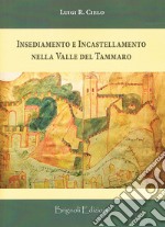 Insediamento e incastellamento nella valle del Tammaro libro