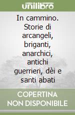 In cammino. Storie di arcangeli, briganti, anarchici, antichi guerrieri, dèi e santi abati libro