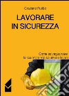 Lavorare in sicurezza. Come salvaguardare la sicurezza e la salute sul lavoro libro