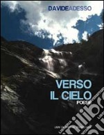 Verso il cielo libro