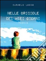 Nelle briciole dei miei giorni libro