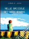 Nelle briciole dei miei giorni libro di Loddo Carmelo