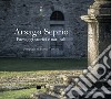 Arsago Seprio. Paesaggi storici e naturali. Ediz. illustrata libro