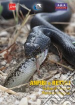 Anfibi e rettili. Saline di Priolo e penisola Magnisi libro