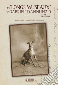 Les «longs museaux» de Gabriele D'Annunzio en France libro