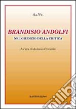 Brandisio Andolfi nel giudizio della critica libro