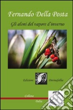 Gli aloni del vapore d'inverno libro