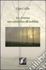 Se ci resta un cammino di nebbia libro