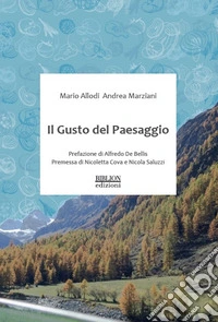 Il gusto del paesaggio libro