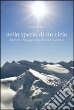 Nello spazio di un cielo. Territori e paesaggi aerei di Valle Camonica. Ediz. illustrata