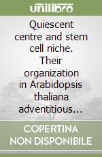 Quiescent centre and stem cell niche. Their organization in Arabidopsis thaliana adventitious roots libro