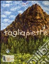 Il tagliapietre. Ediz. illustrata. Con CD Audio libro