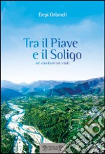 Tra il Piave e il Soligo. Né vincitori né vinti libro