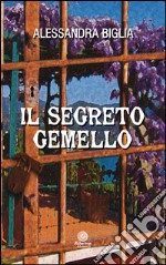 Il segreto gemello libro