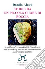 Storie da un piccolo cuore di roccia. Ediz. illustrata libro