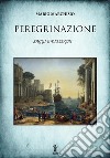 Peregrinazione. Saggi e dialoghi 1983-2016 libro di Marchisio Mario