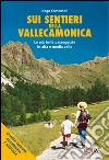 Sui sentieri della Valle Camonica. Le più belle passeggiate in alta e media valle libro