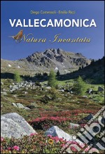 Vallecamonica natura incantata. Ediz. illustrata