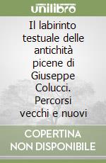 Il labirinto testuale delle antichità picene di Giuseppe Colucci. Percorsi vecchi e nuovi libro