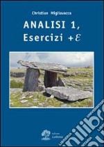 Analisi matematica. Esercizi + E. Vol. 1