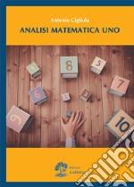 Analisi matematica 1 libro