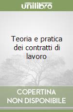 Teoria e pratica dei contratti di lavoro libro