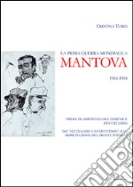 La prima guerra mondiale a Mantova 1914-1918 libro usato