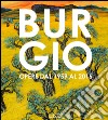 Burgio. Opere dal 1959 al 2016. Catalogo della mostra (Reggio Emilia, 16 settembre-17 ottobre 2016). Ediz. illustrata libro