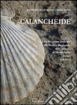 Calancheide