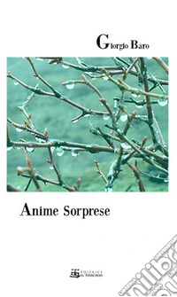 Anime sorprese libro