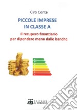 Piccole imprese in classe A. Il recupero finanziario per dipendere meno dalle banche libro