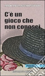 C'è un gioco che non conosci libro