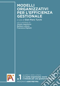 Modelli organizzativi per l'efficienza gestionale libro