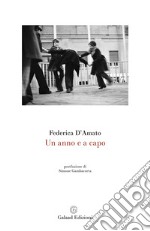 Un anno e a capo libro