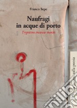 Naufragi in acque di porto. Trypticon insanae mentis libro