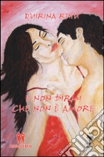 E non dirmi che non è amore libro