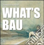 What's bau libro