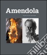 Aurelio Amendola. Fotografo per l'arte e per gli artisti. Ediz. illustrata