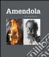 Aurelio Amendola. Fotografo per l'arte e per gli artisti. Ediz. illustrata libro di La Spina Elena